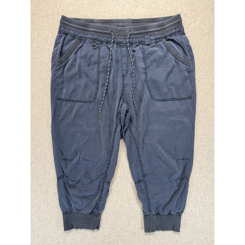 Anthropologie Pilcro Cropped Jogger Pants Blue Womens 2X